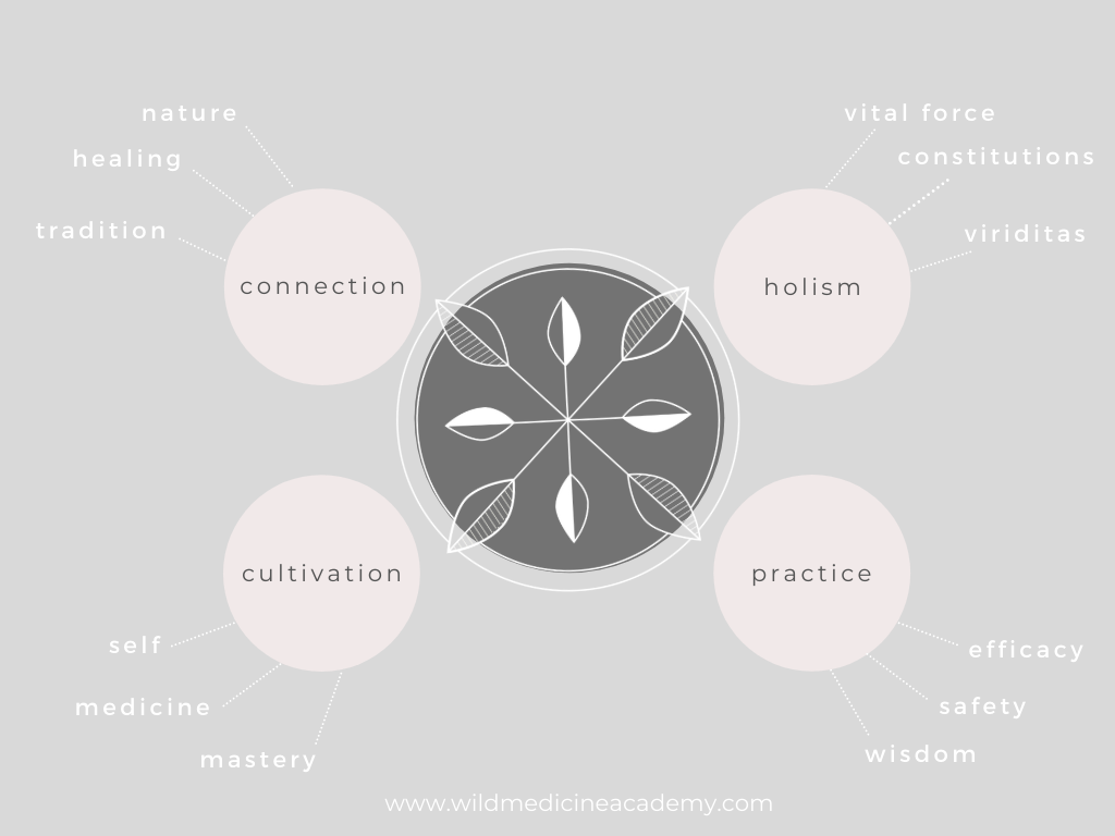 WMA approach to learning herbalism