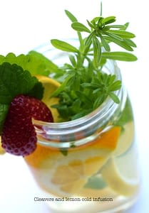 Rec-Cleavers-lemon-infusionsm